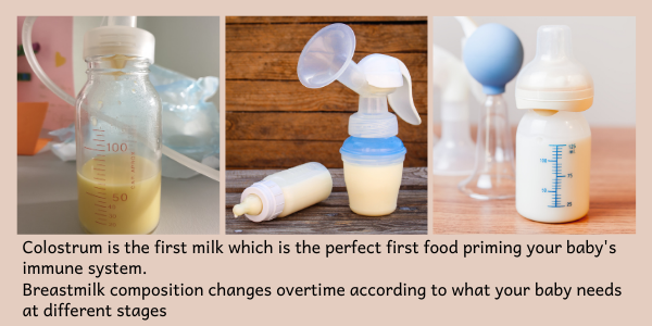Colostrum and how breastmilk changes over time